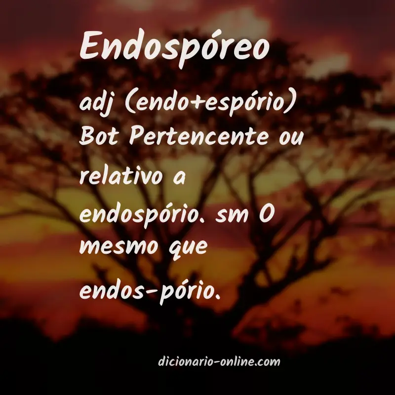 Significado de endospóreo