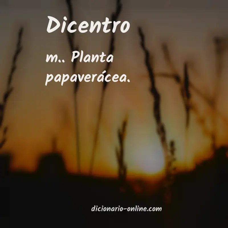 Significado de dicentro