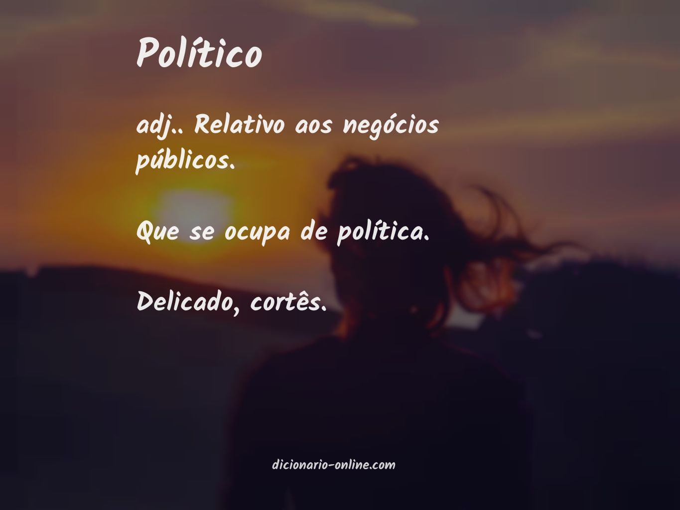 Significado de político