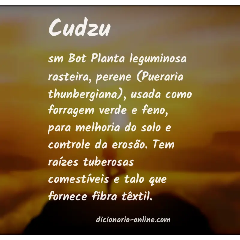 Significado de cudzu