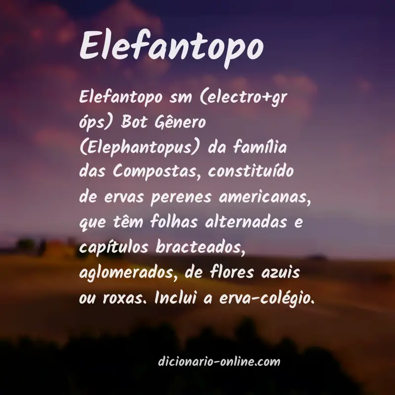 Significado de elefantopo