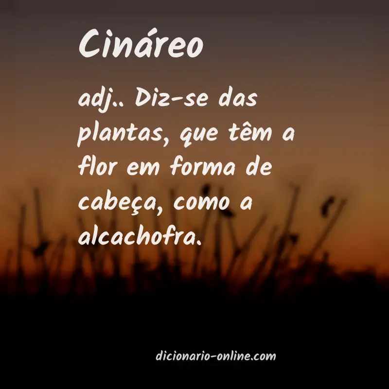 Significado de cináreo