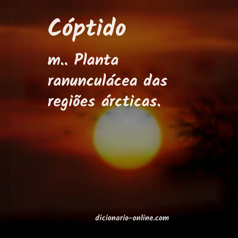 Significado de cóptido