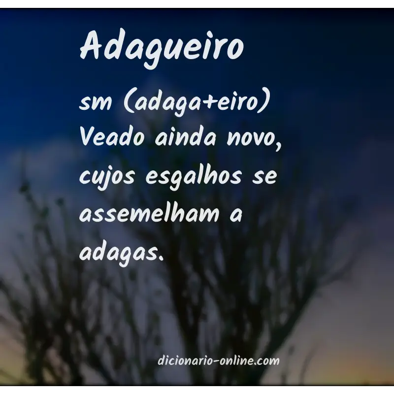 Significado de adagueiro