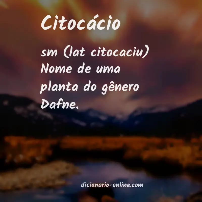 Significado de citocácio