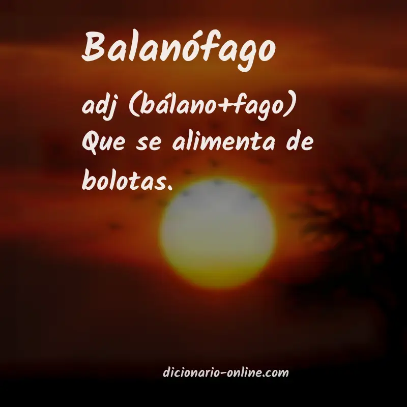 Significado de balanófago