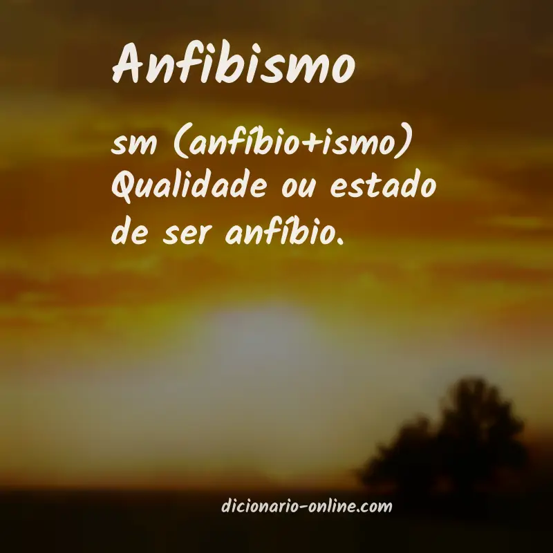 Significado de anfibismo