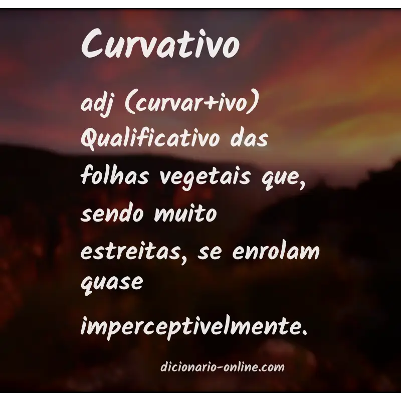 Significado de curvativo