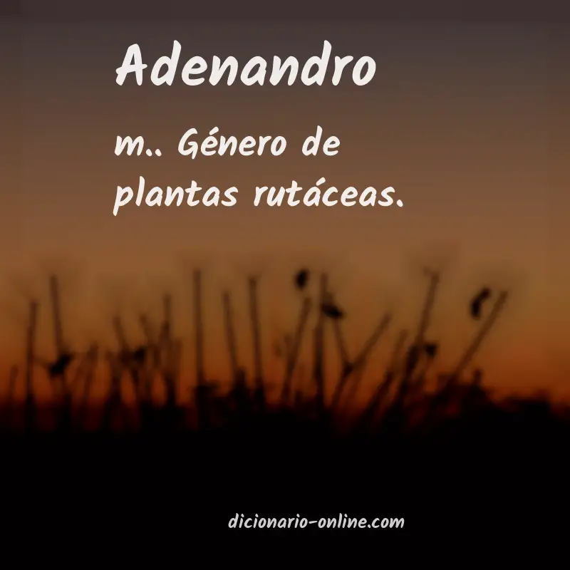 Significado de adenandro