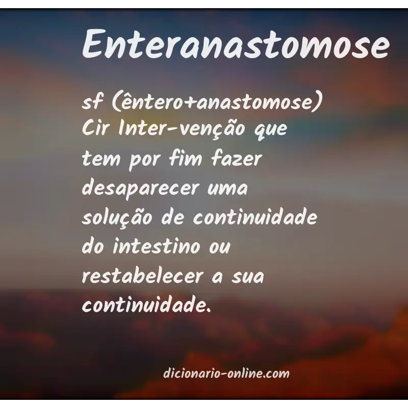Significado de enteranastomose