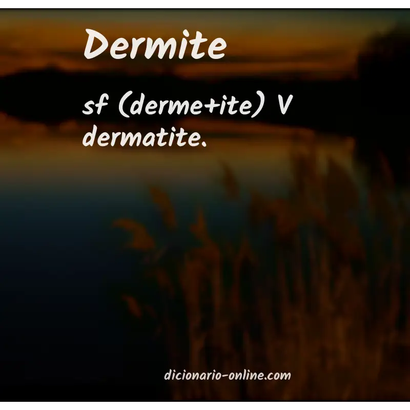 Significado de dermite