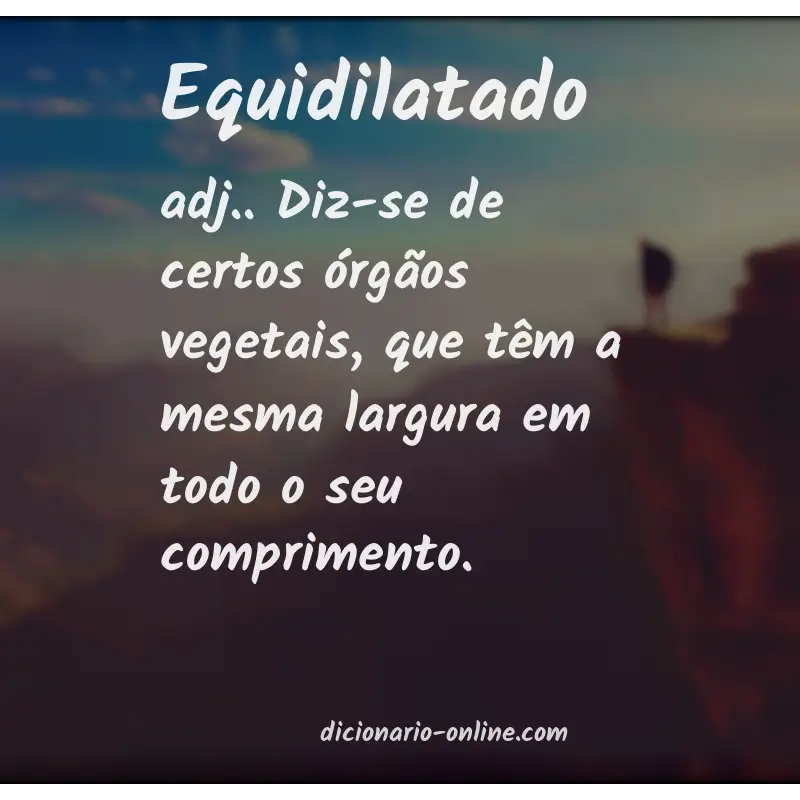 Significado de equidilatado
