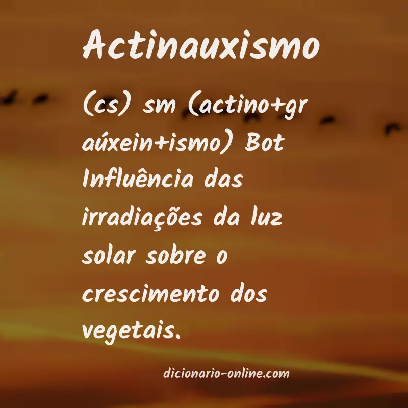 Significado de actinauxismo
