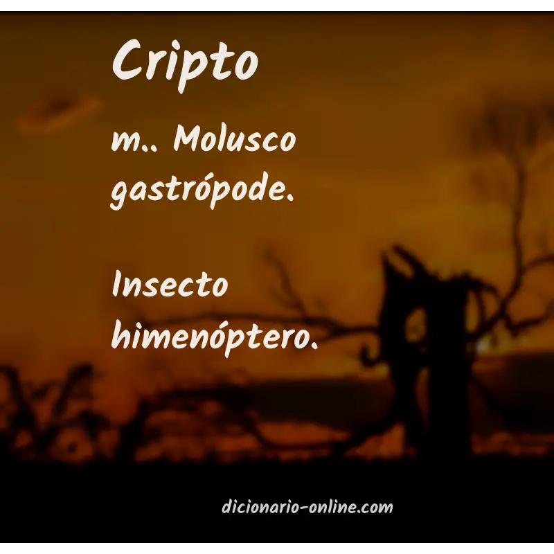 Significado de cripto