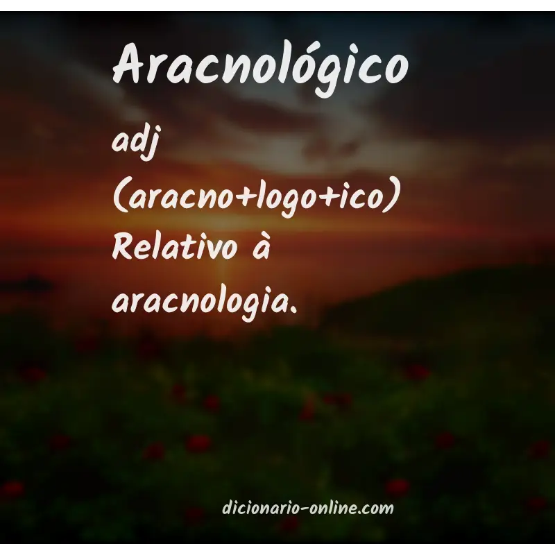 Significado de aracnológico