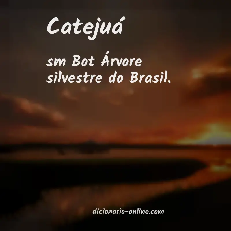 Significado de catejuá