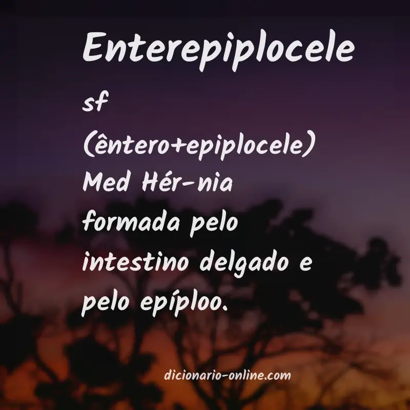 Significado de enterepiplocele