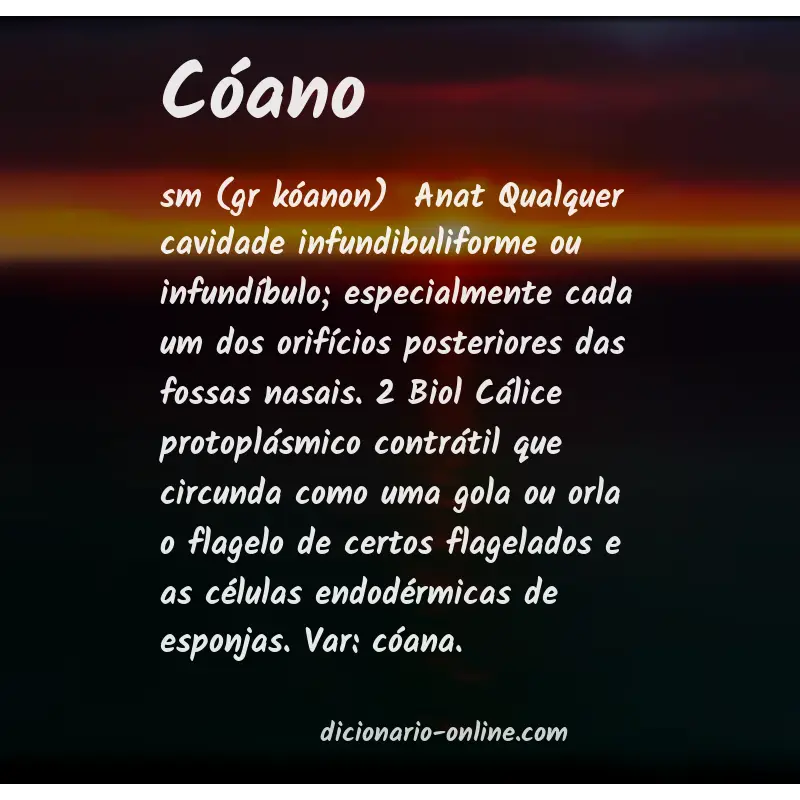 Significado de cóano