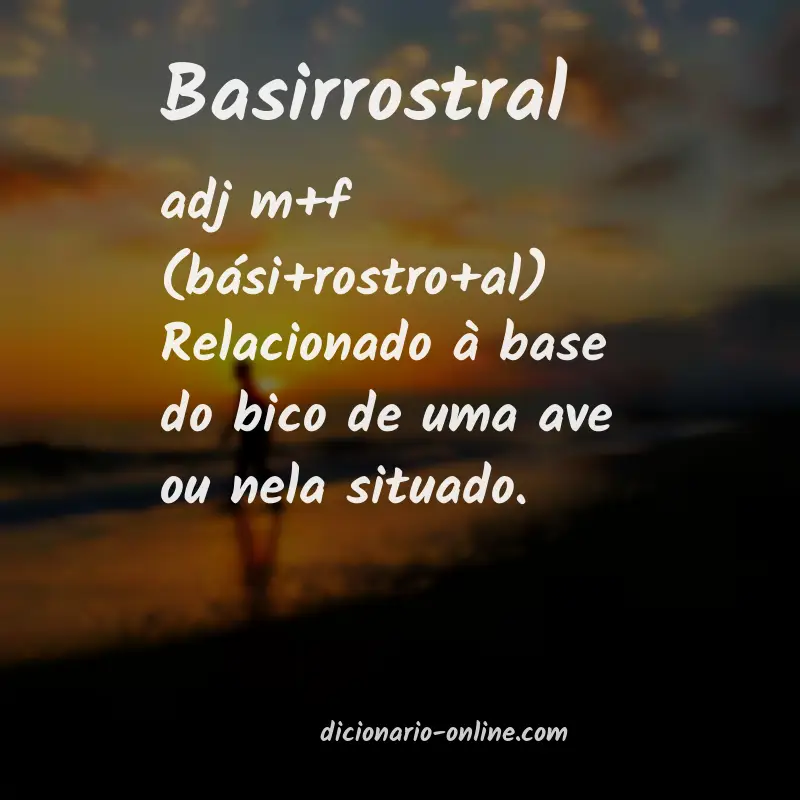 Significado de basirrostral