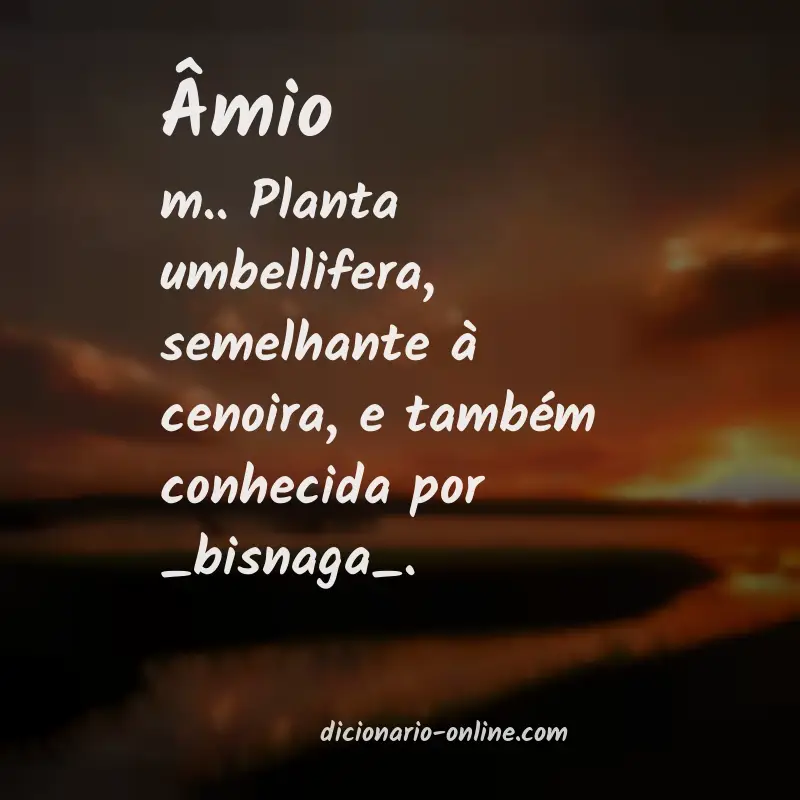 Significado de âmio