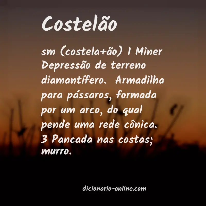 Significado de costelão
