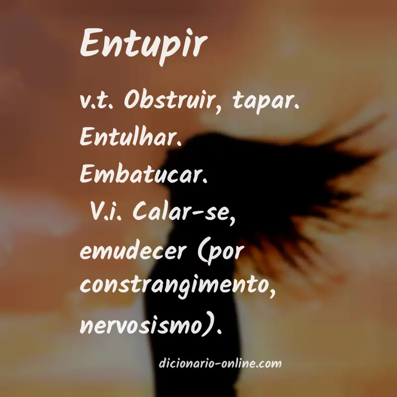 Significado de entupir