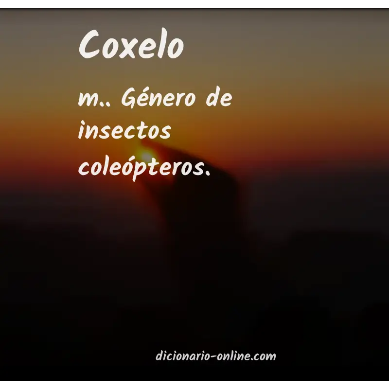 Significado de coxelo