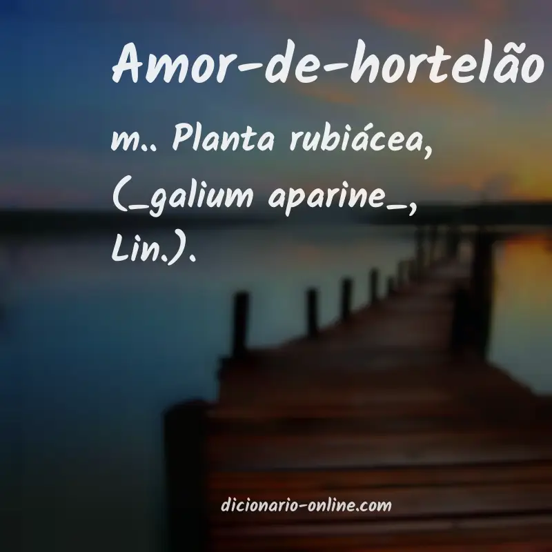 Significado de amor-de-hortelão
