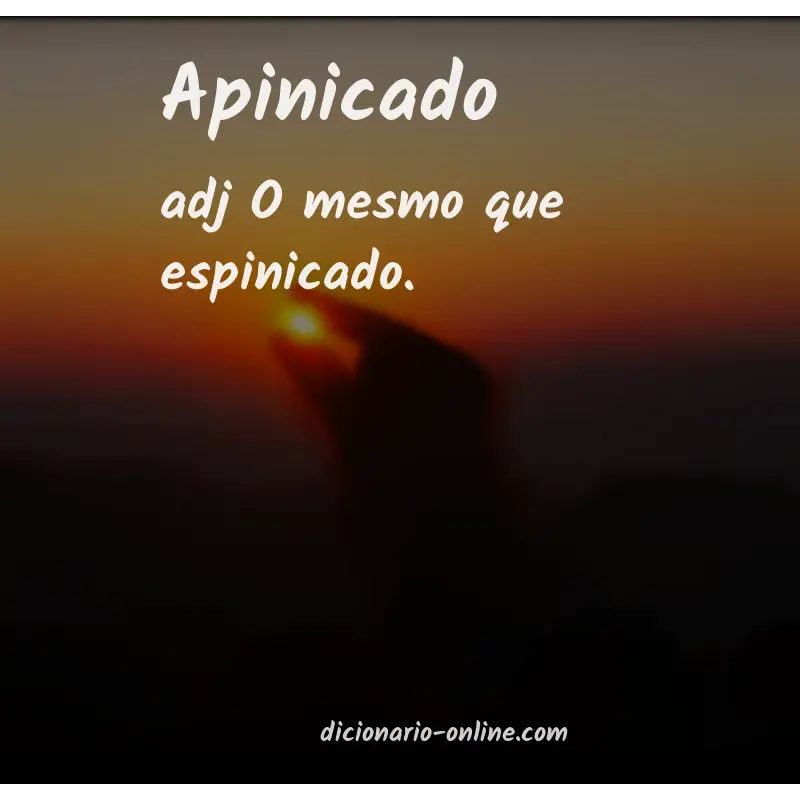 Significado de apinicado