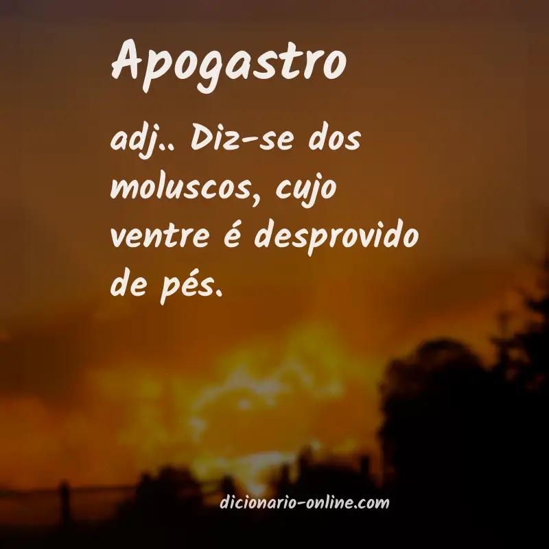 Significado de apogastro