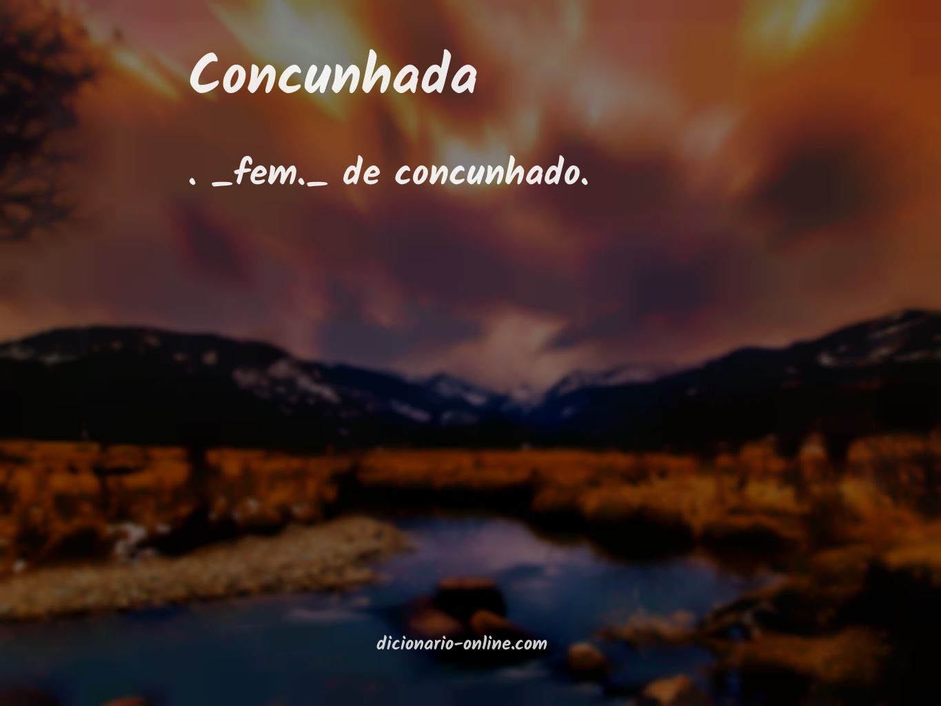Significado de concunhada