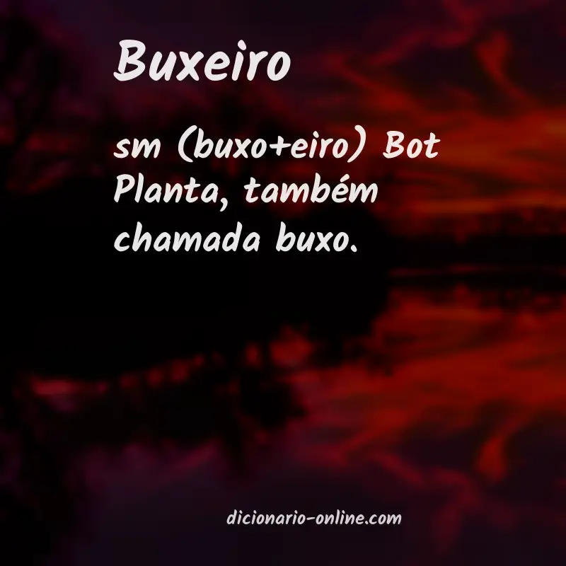 Significado de buxeiro