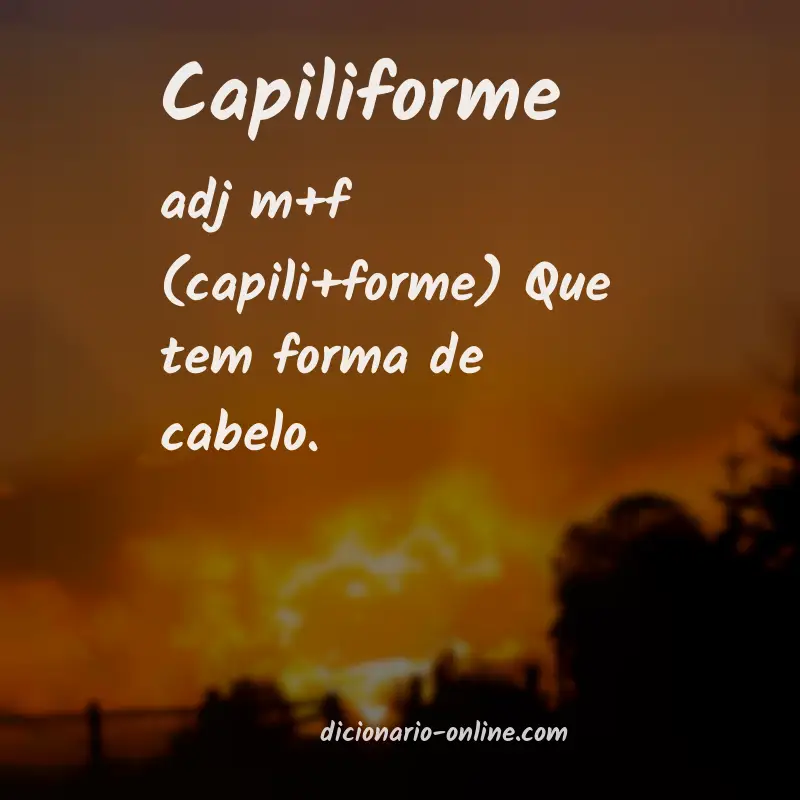Significado de capiliforme