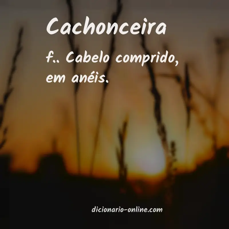 Significado de cachonceira