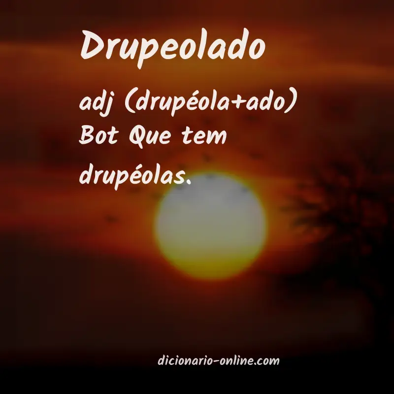 Significado de drupeolado