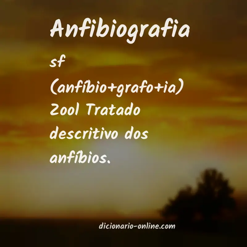 Significado de anfibiografia