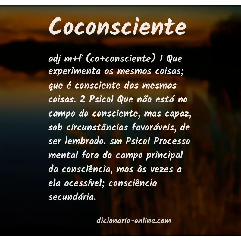 Significado de coconsciente