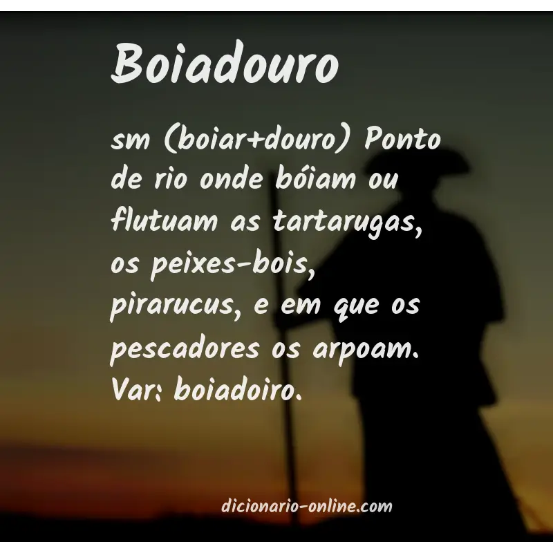 Significado de boiadouro