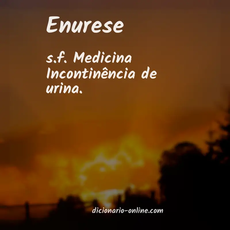 Significado de enurese