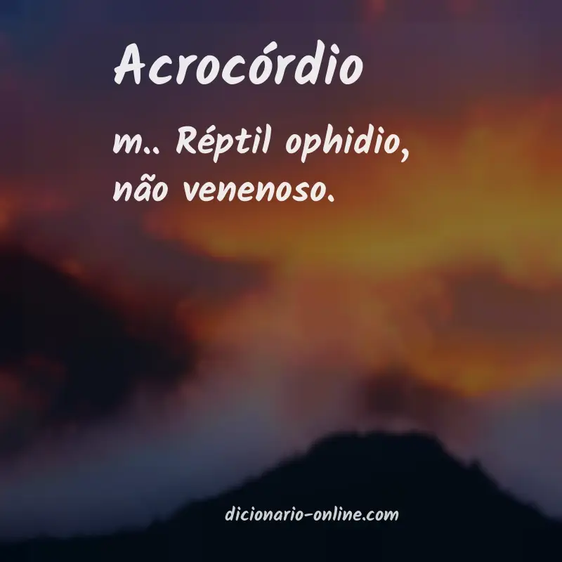 Significado de acrocórdio