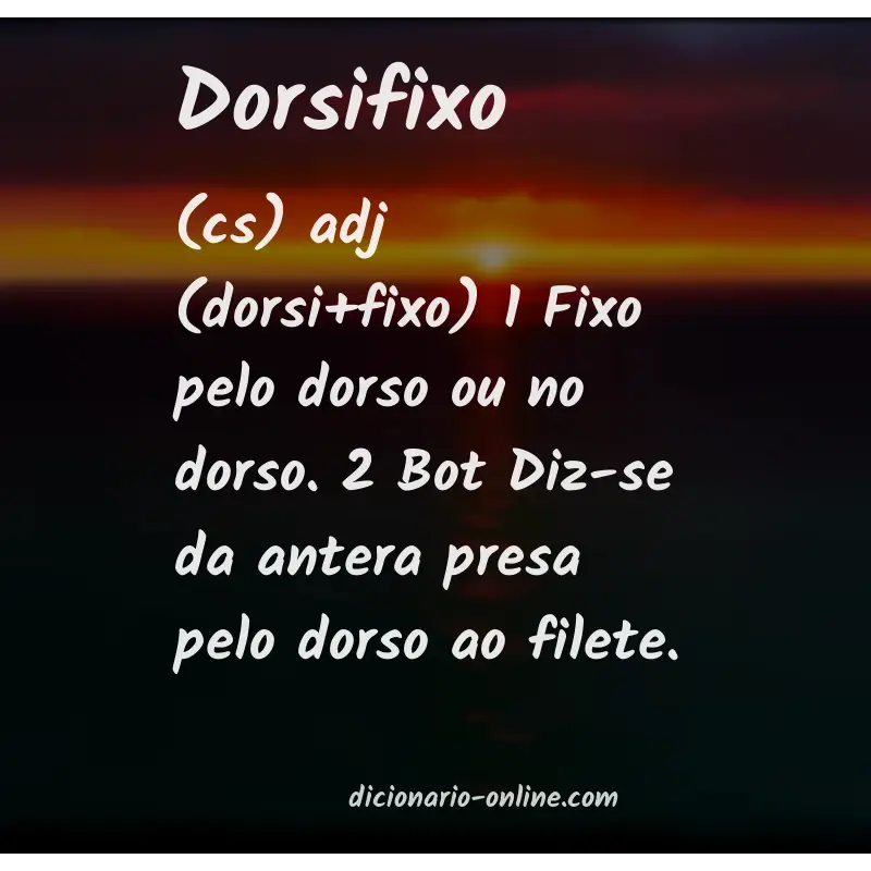 Significado de dorsifixo