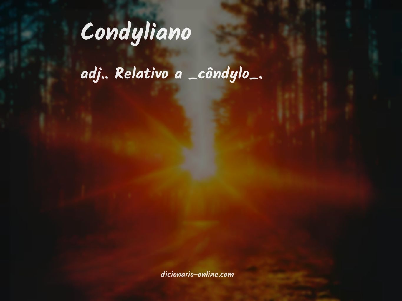 Significado de condyliano