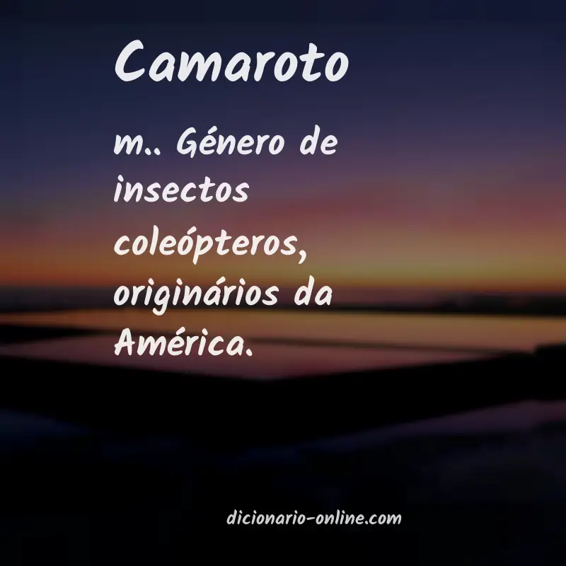 Significado de camaroto