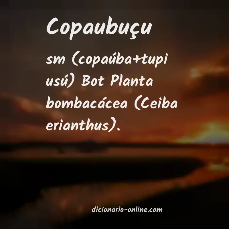 Significado de copaubuçu
