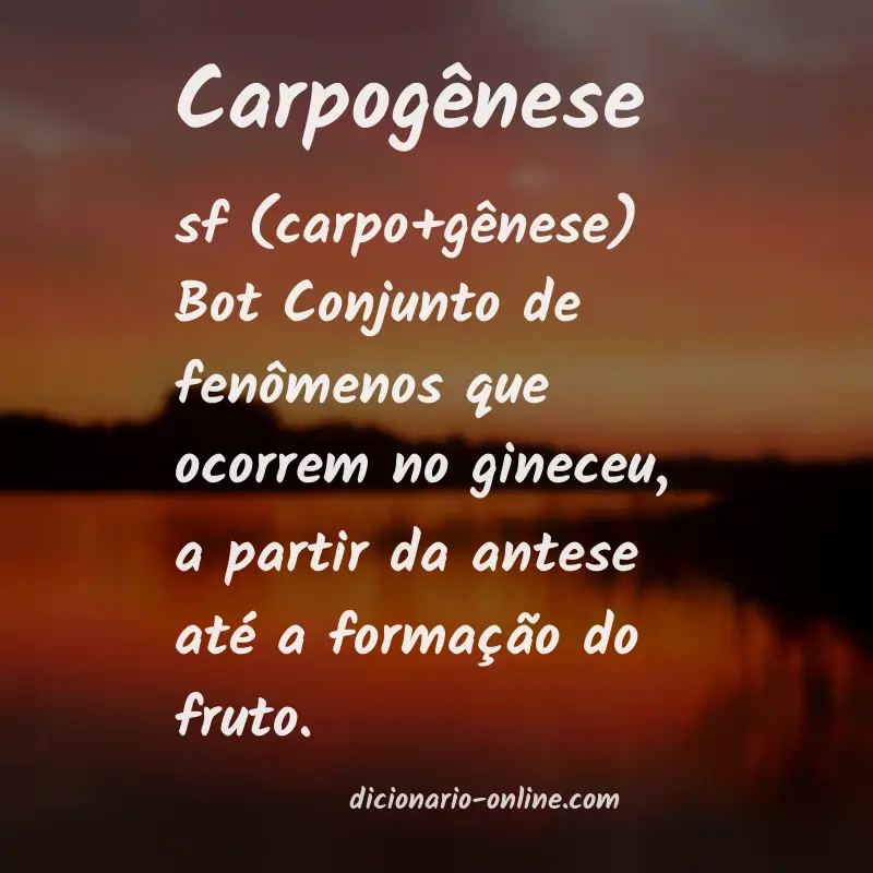 Significado de carpogênese