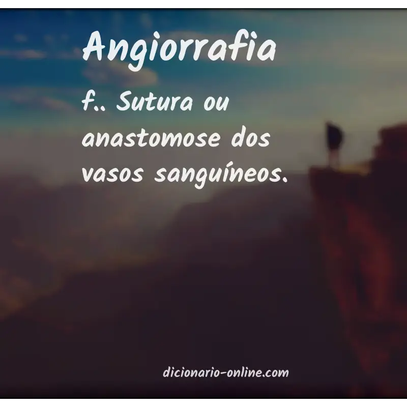 Significado de angiorrafia