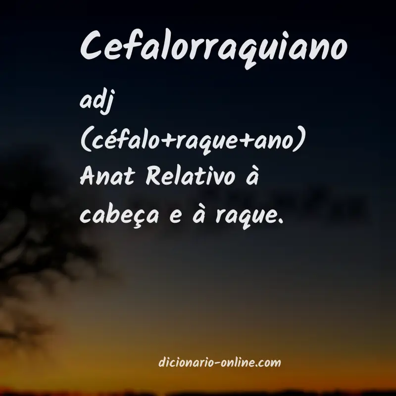 Significado de cefalorraquiano