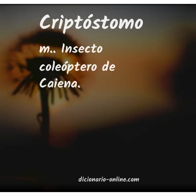 Significado de criptóstomo