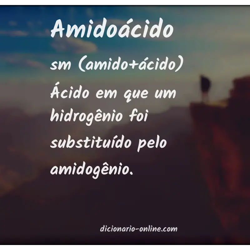 Significado de amidoácido