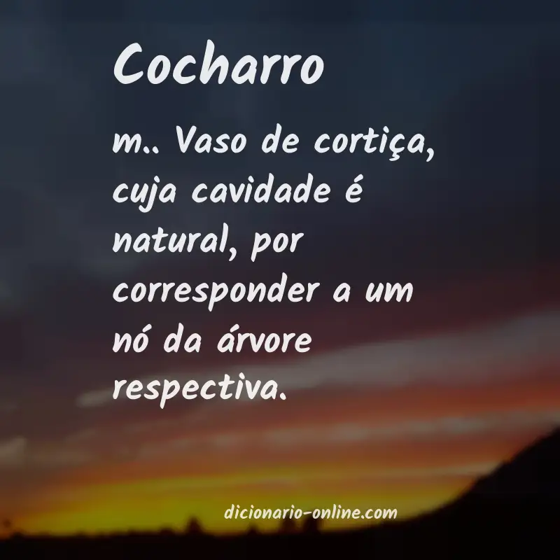 Significado de cocharro